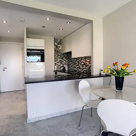 Apartment Beau A 2 Pas Des Plages Du Midi 246l Berv Cannes